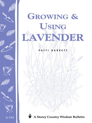 cover image of Growing & Using Lavender
